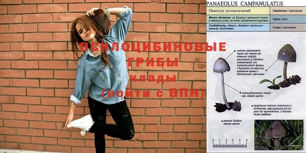 прущая мука Беломорск
