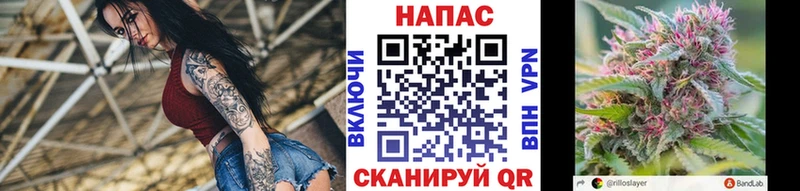 закладка Щигры гидра ссылка Бошки марихуана LSD WEED